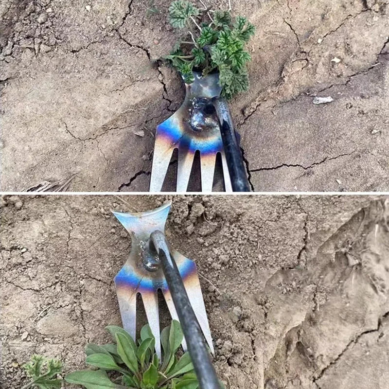 Miniatuur 3