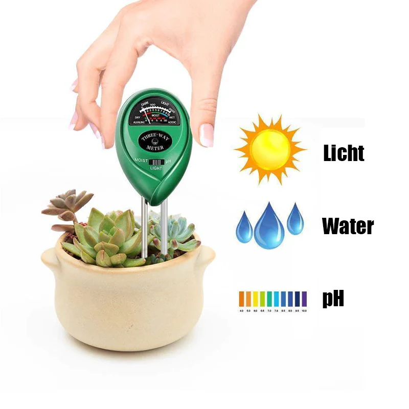 Miniatuur 6