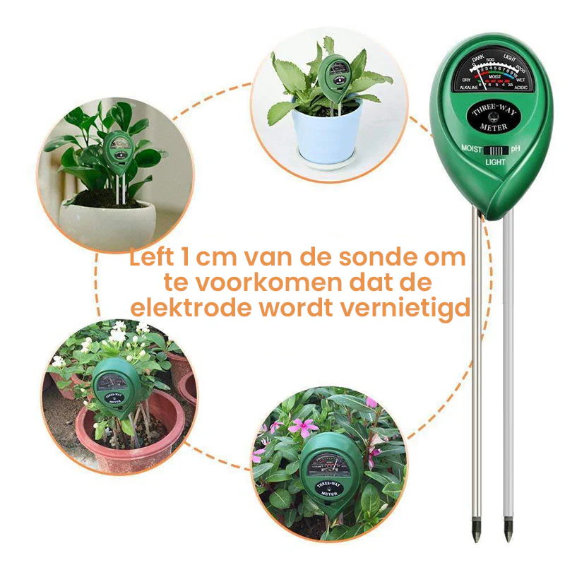 Miniatuur 8