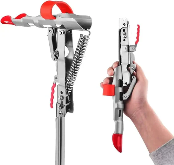 Miniatuur 17