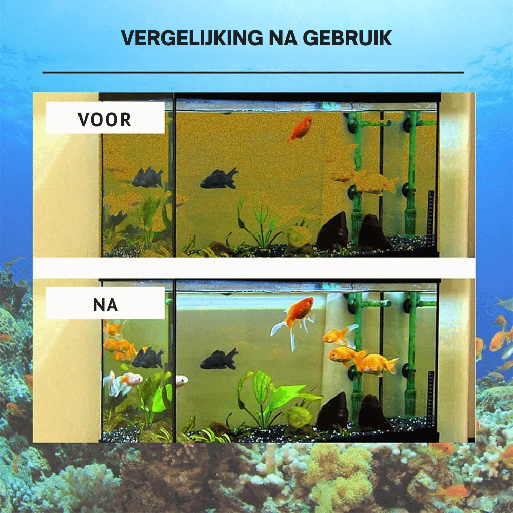 Miniatuur 4