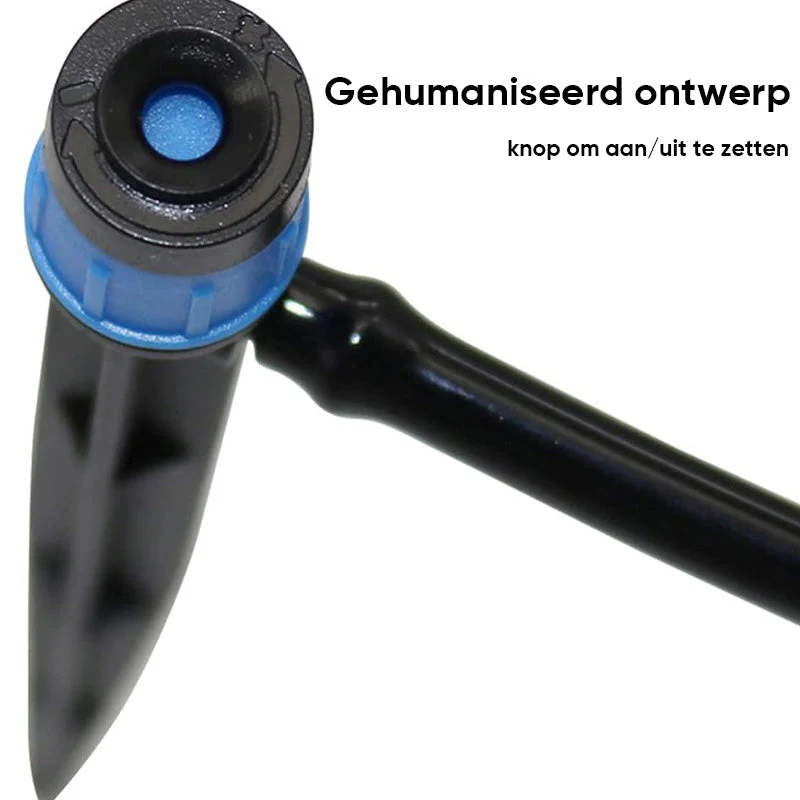 Miniatuur 18
