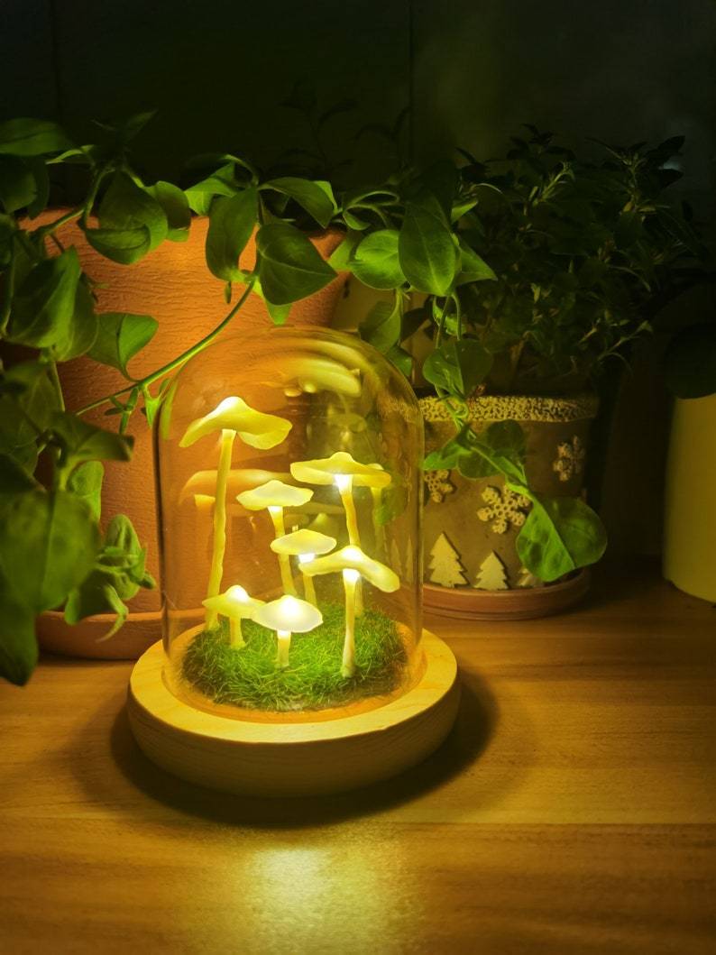 Miniatuur 7