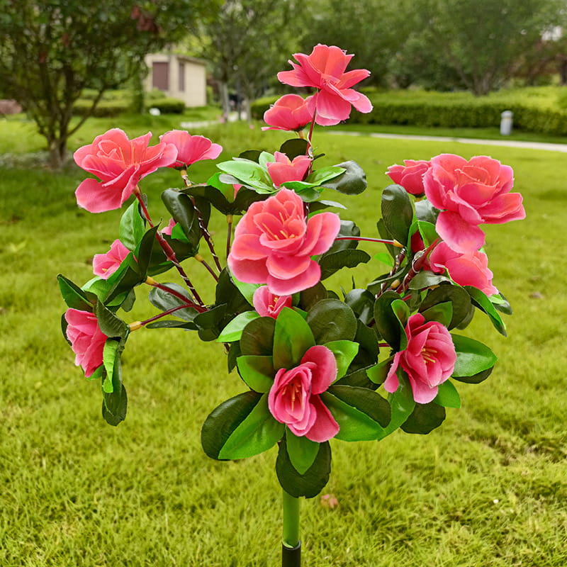 Miniatuur 11