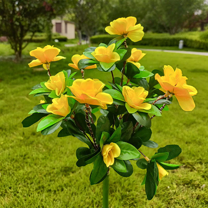 Miniatuur 16
