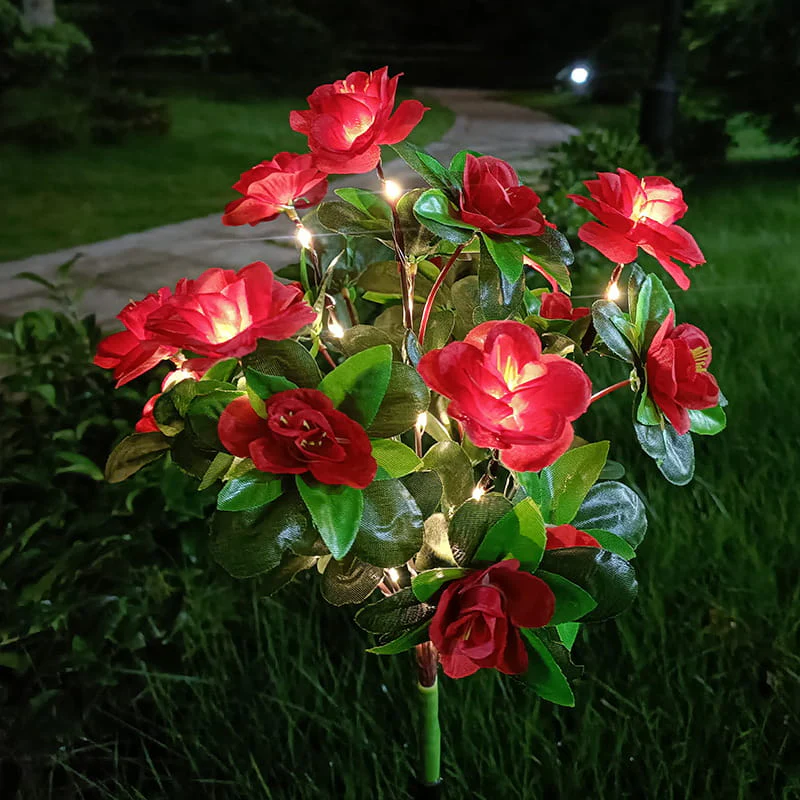 Miniatuur 19