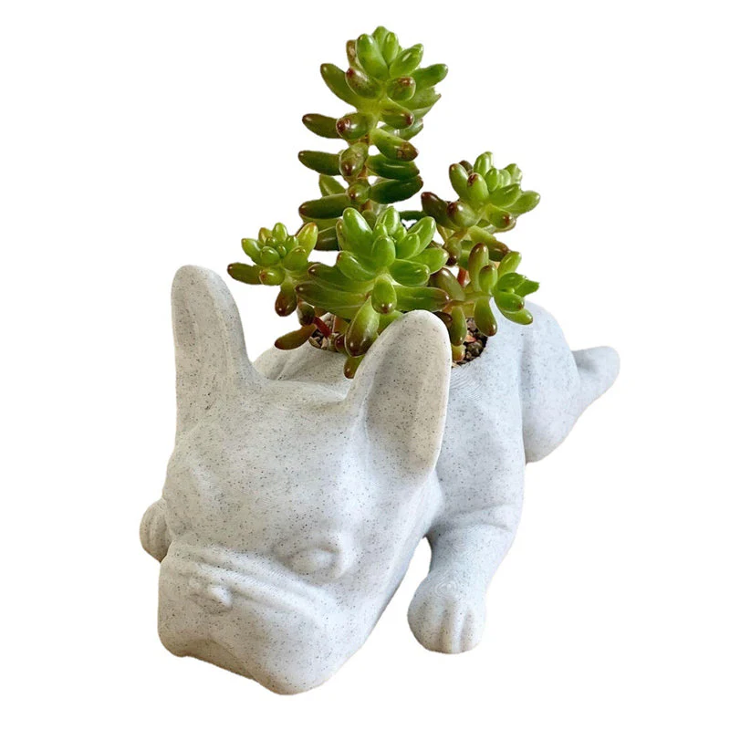 Miniatuur 13