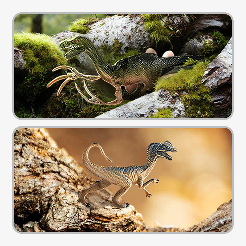 Miniatuur 8