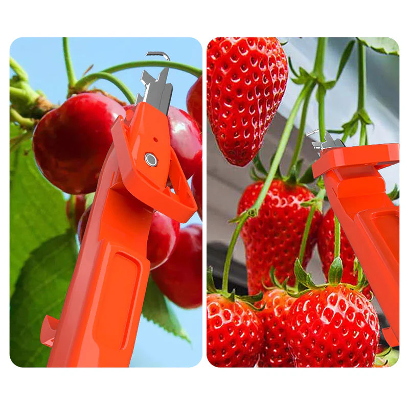 Miniatuur 7