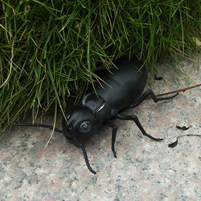 Miniatuur 10