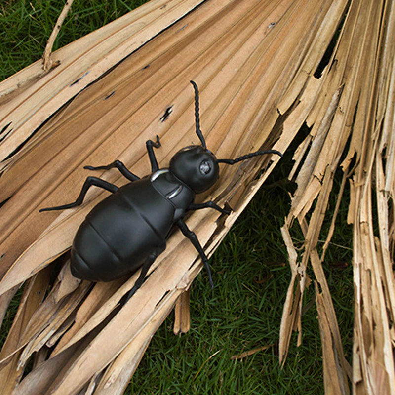 Miniatuur 11