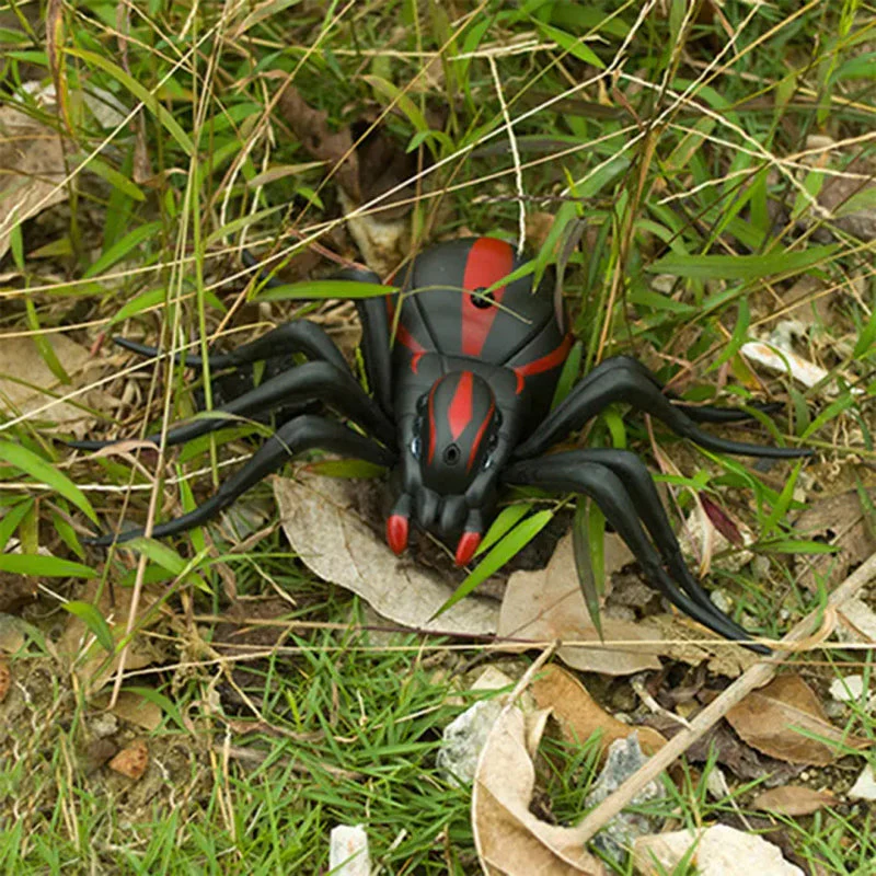 Miniatuur 18