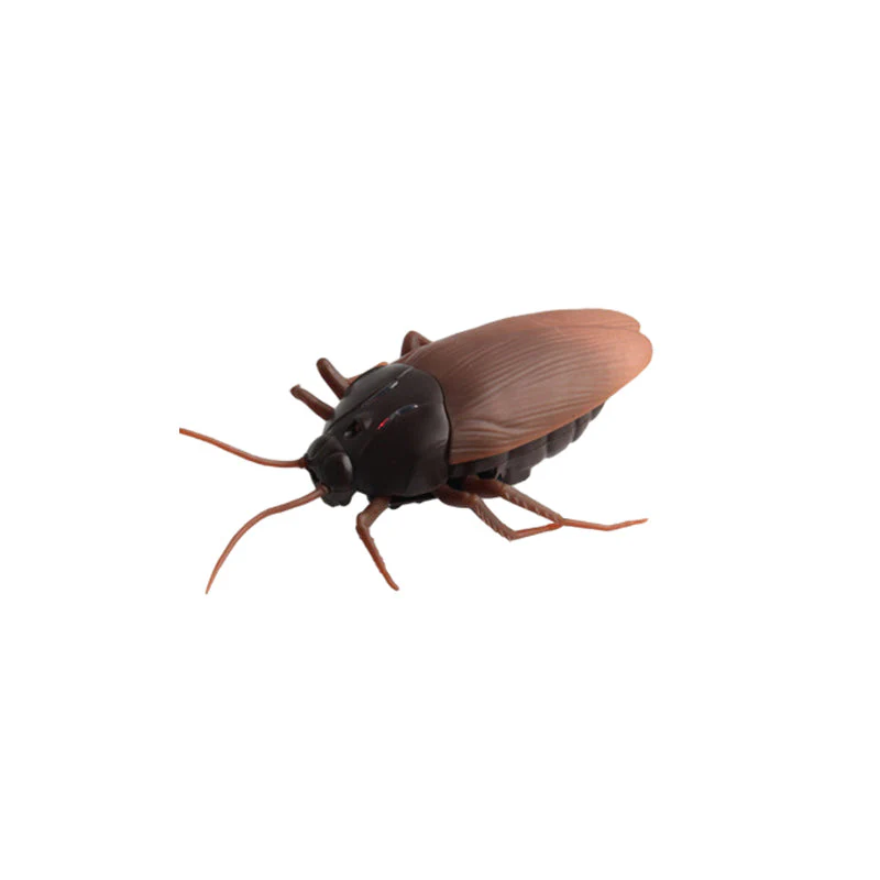 Miniatuur 25