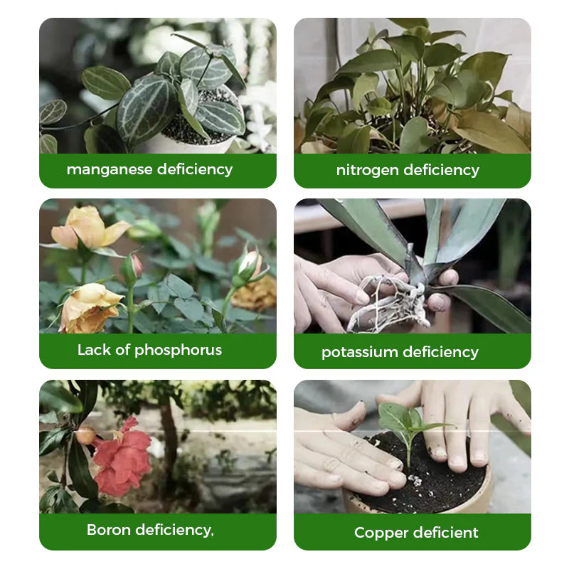 Miniatuur 3