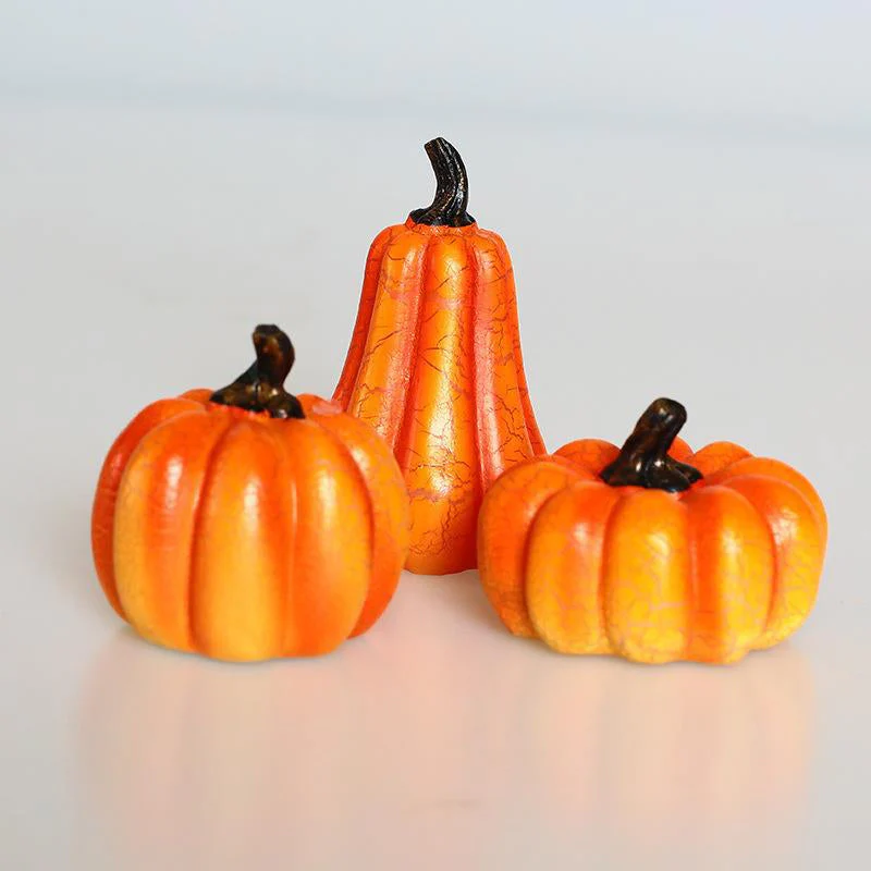 Miniatuur 5
