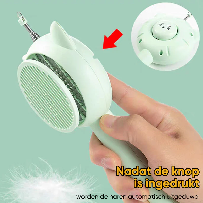 Miniatuur 5