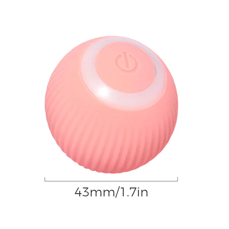 Miniatuur 13