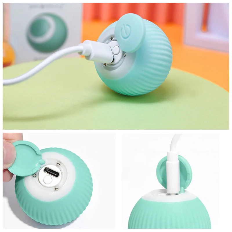 Miniatuur 8