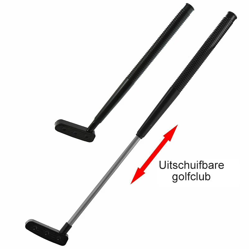 Miniatuur 7