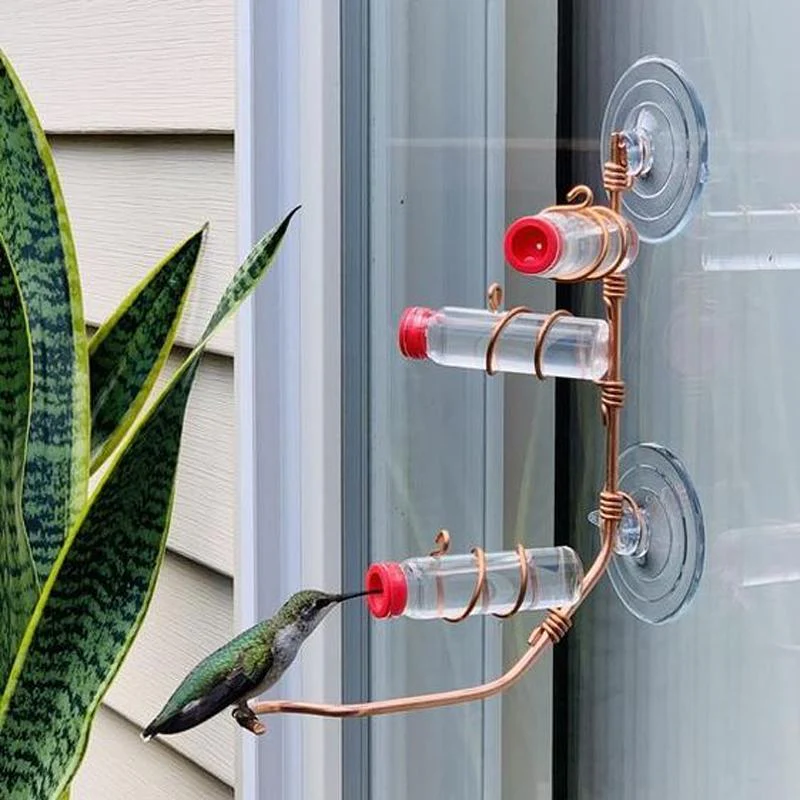 Miniatuur 7