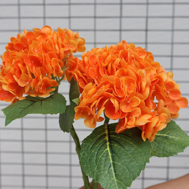 Miniatuur 13