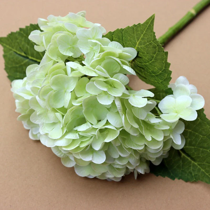 Miniatuur 6