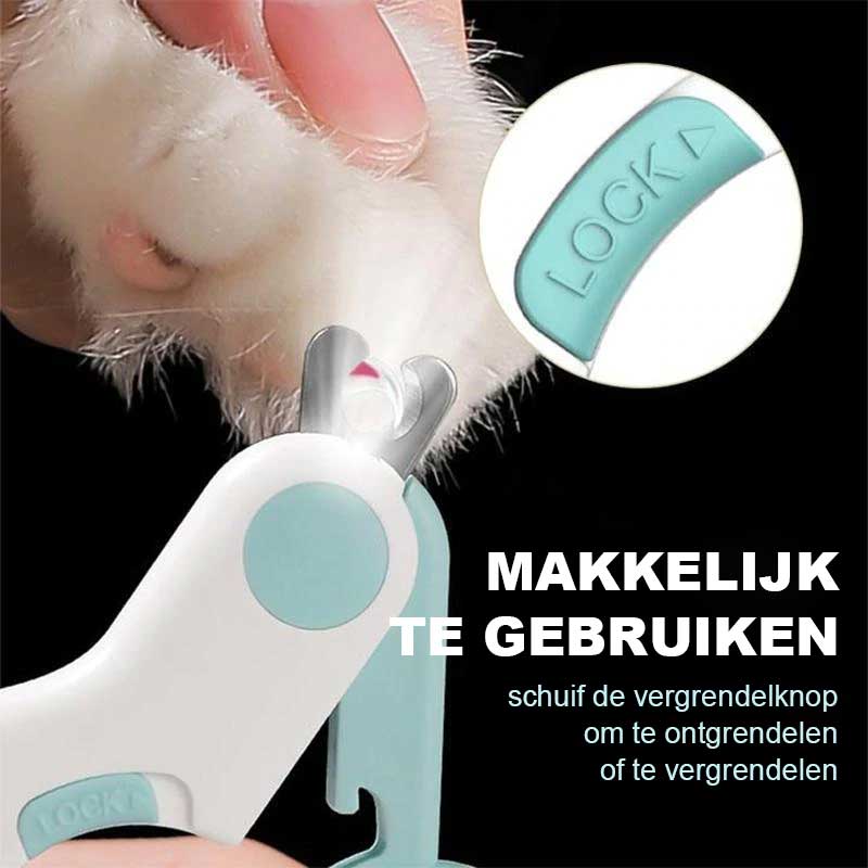 Miniatuur 4