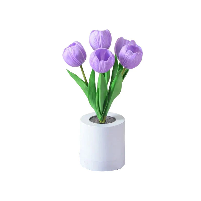 Miniatuur 14