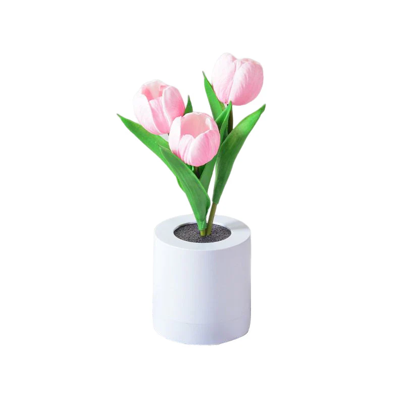 Miniatuur 18