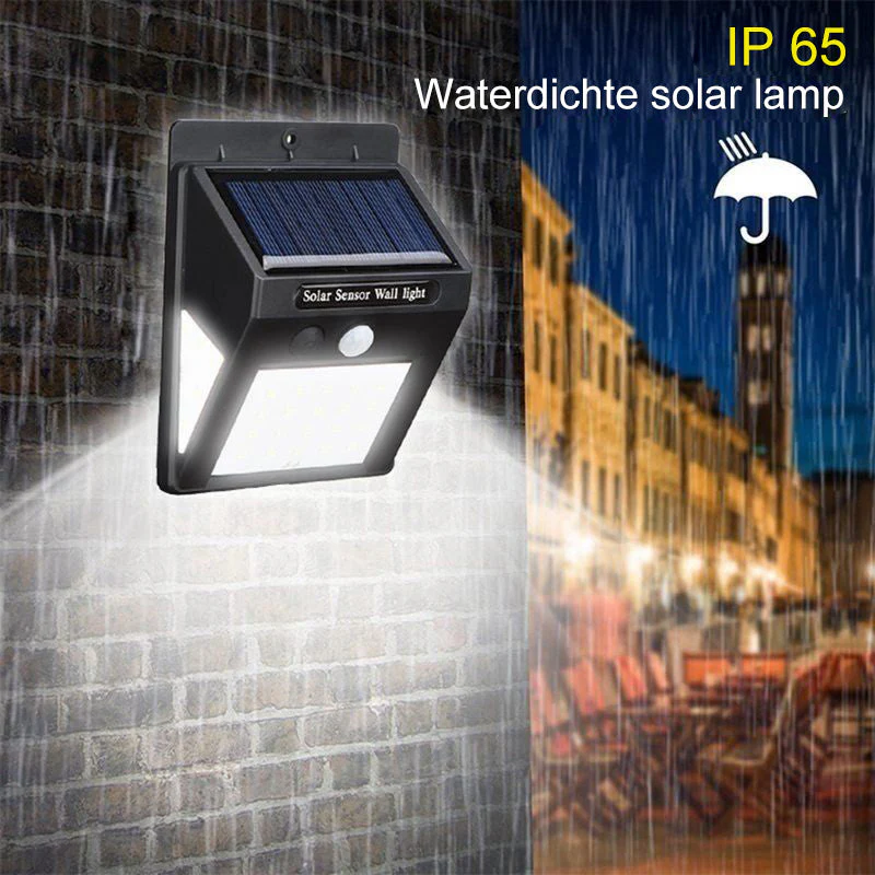 Miniatuur 5