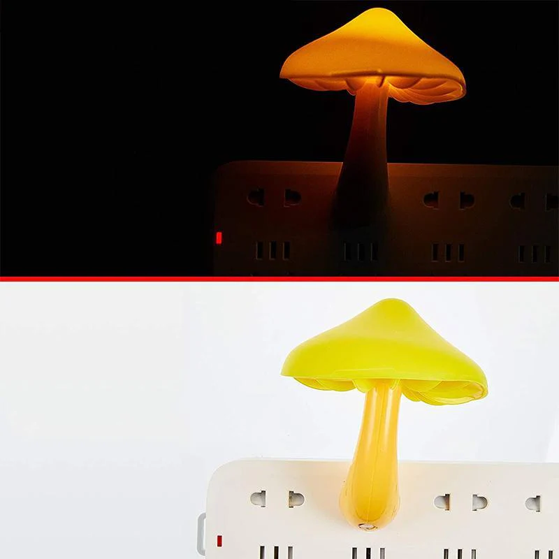 Miniatuur 5