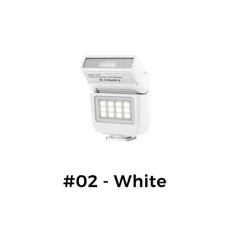Miniatuur 13