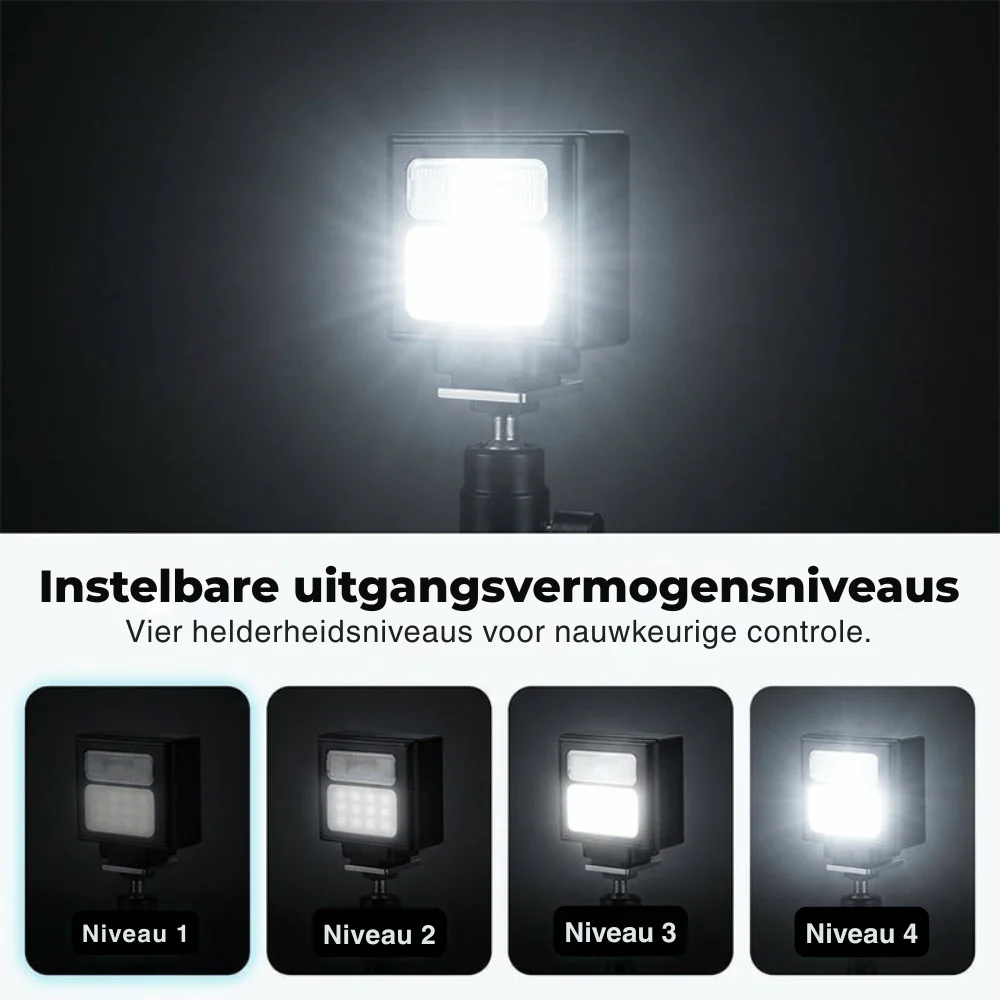 Miniatuur 3
