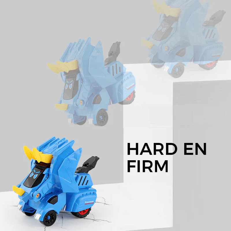 Miniatuur 11