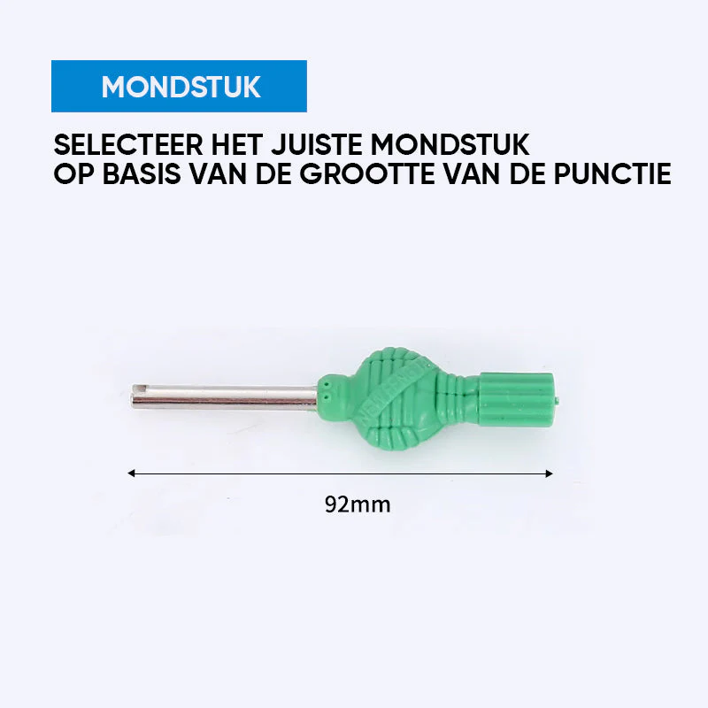 Miniatuur 6