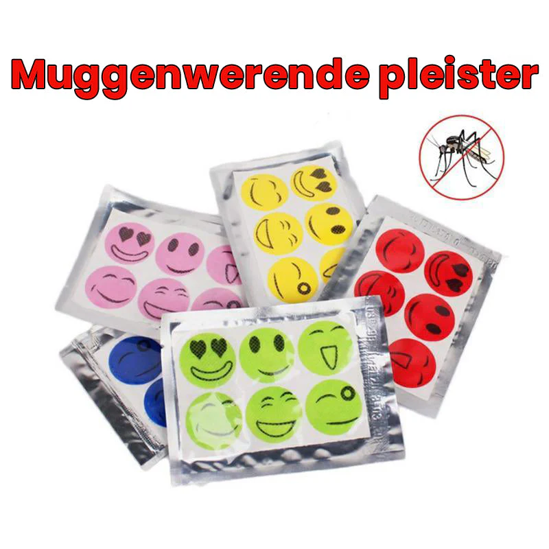 Miniatuur 4