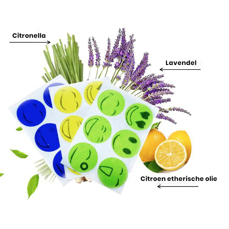Miniatuur 9