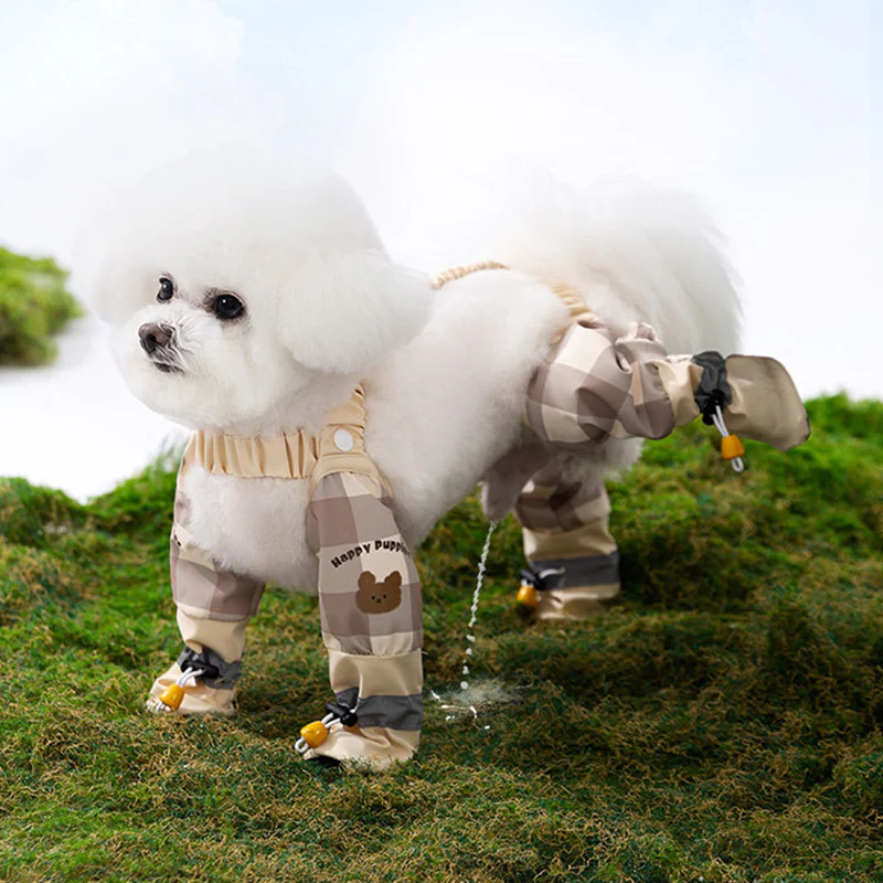 Miniatuur 6