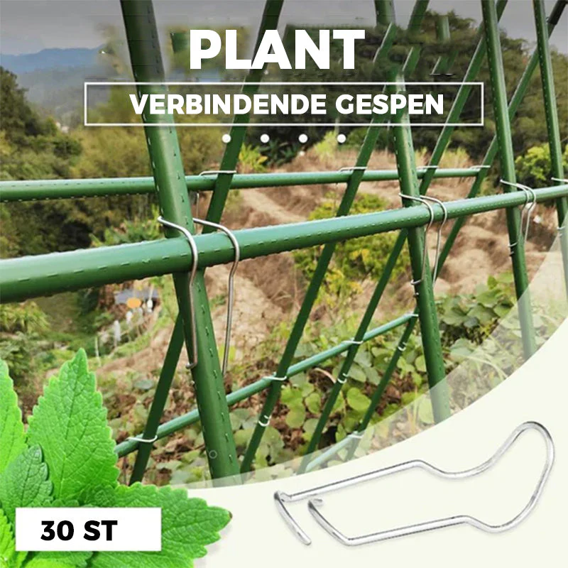 Miniatuur 3