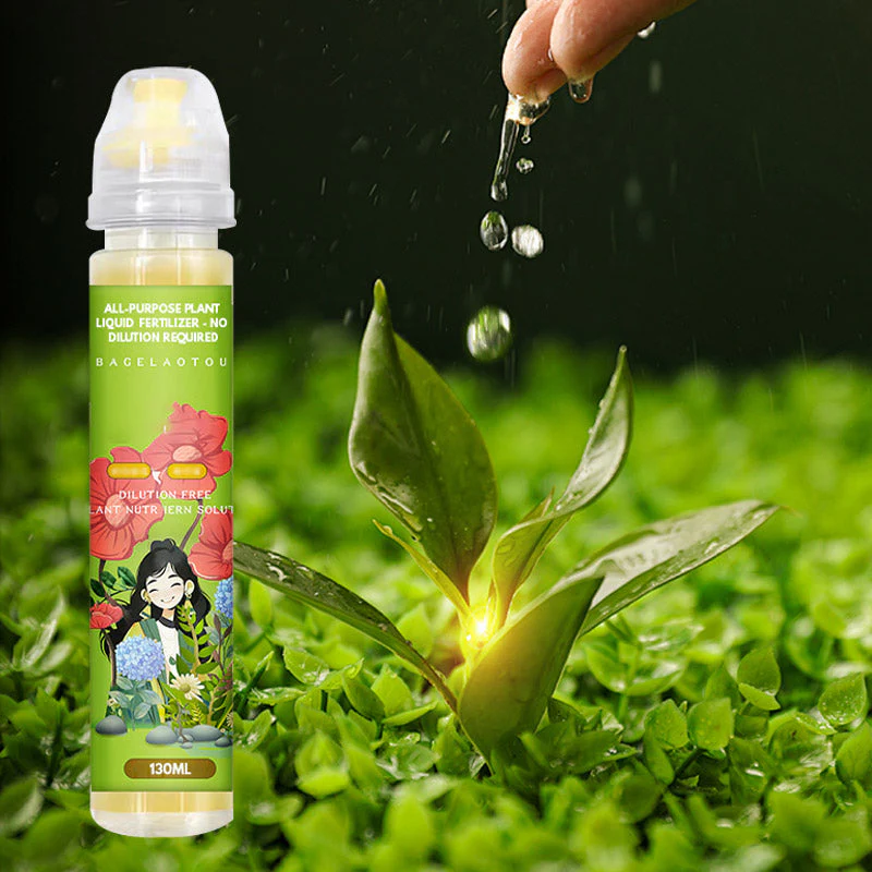 Miniatuur 14