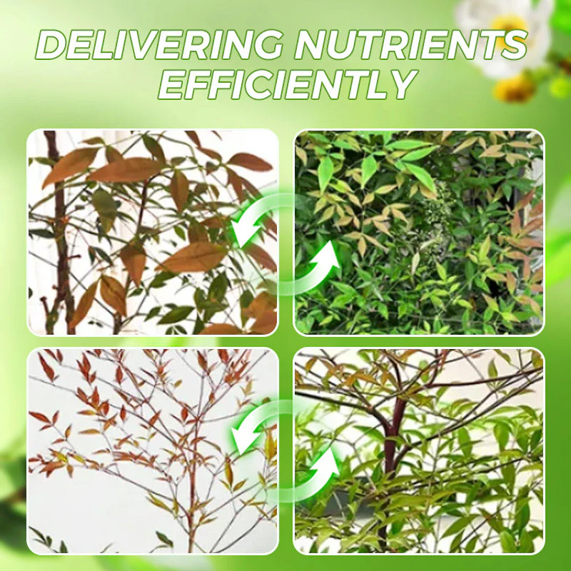 Miniatuur 7