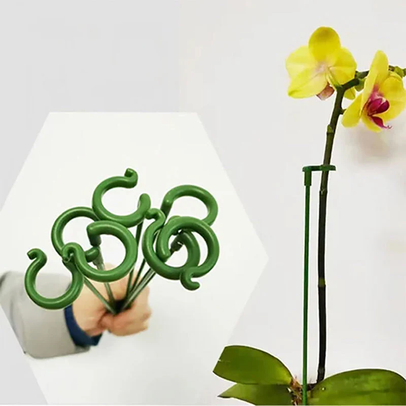 Miniatuur 4