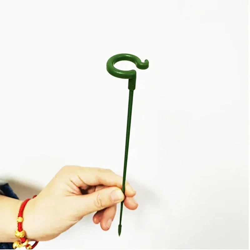 Miniatuur 5