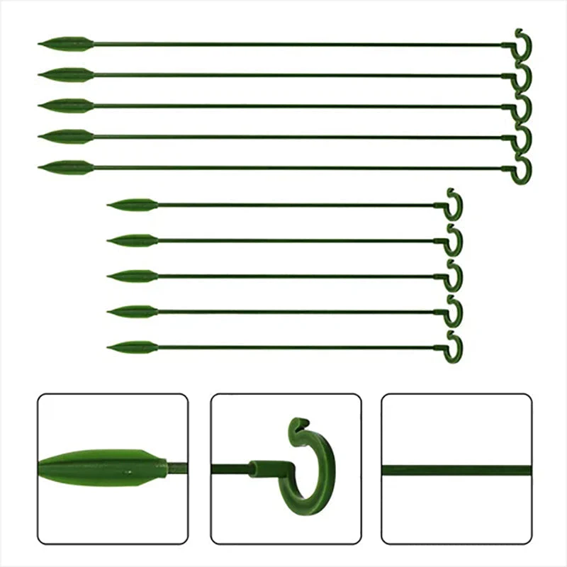 Miniatuur 6