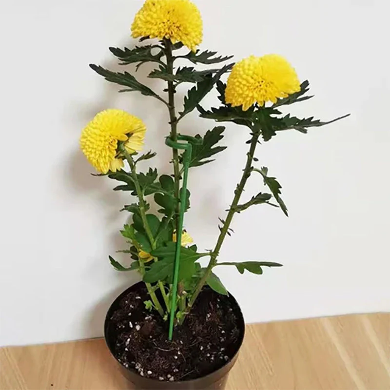 Miniatuur 9