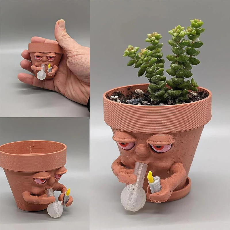 Miniatuur 5