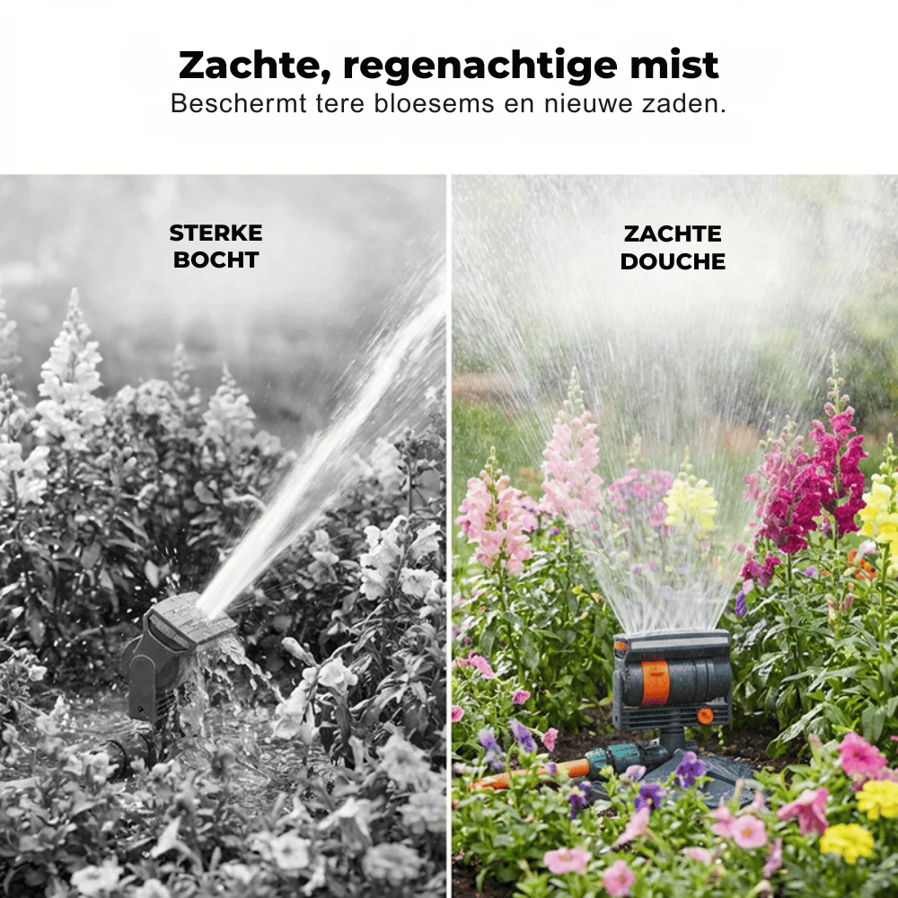 Miniatuur 3