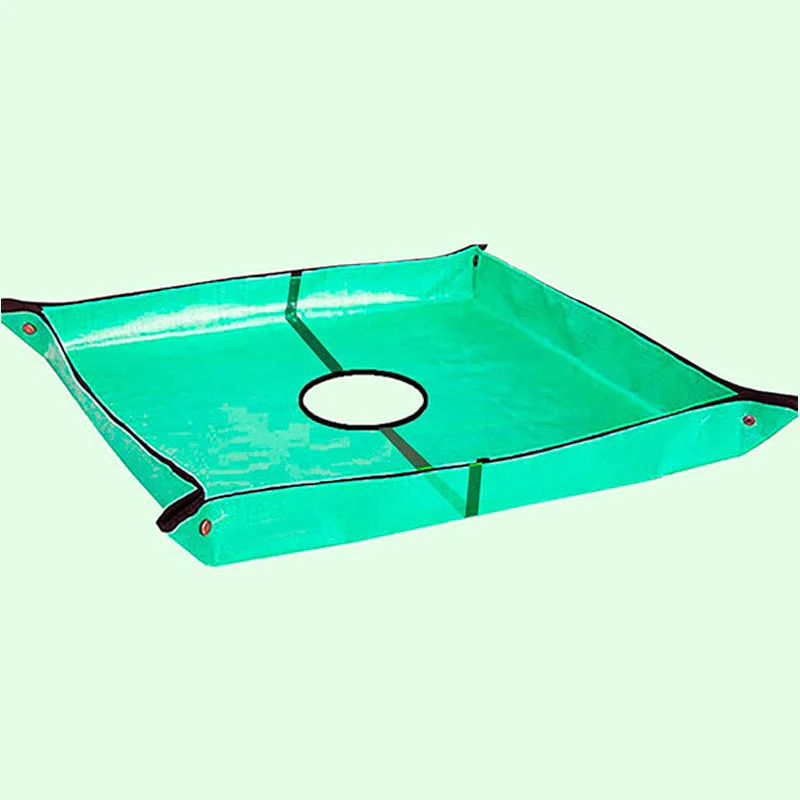 Miniatuur 10