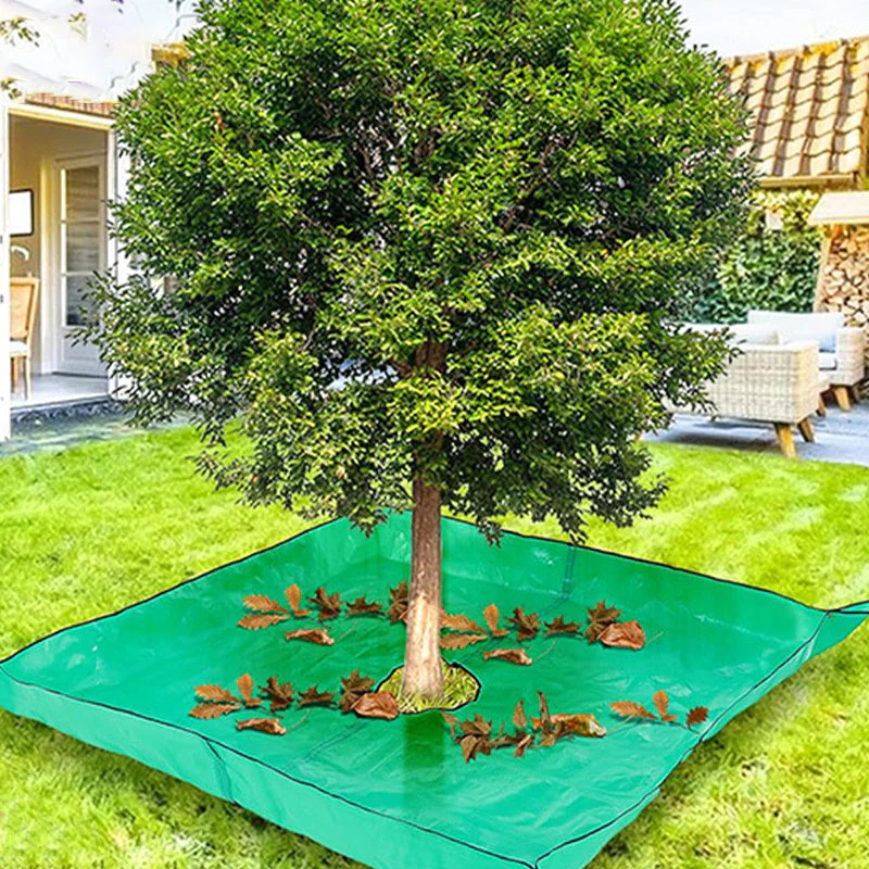 Miniatuur 8