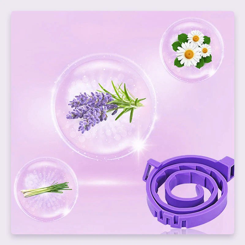 Miniatuur 4